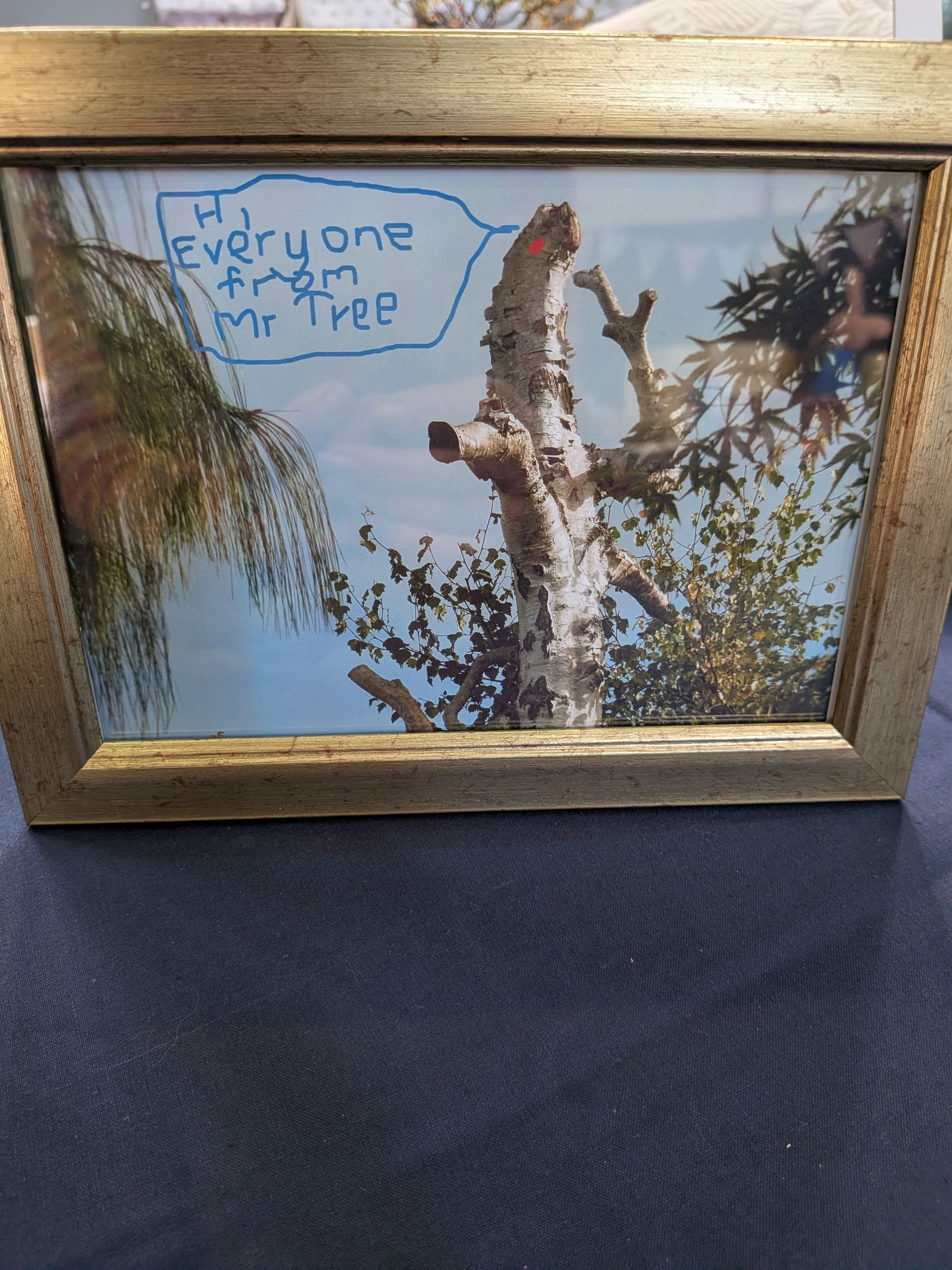 Photo of a tree trunk with blue text bubble saying 