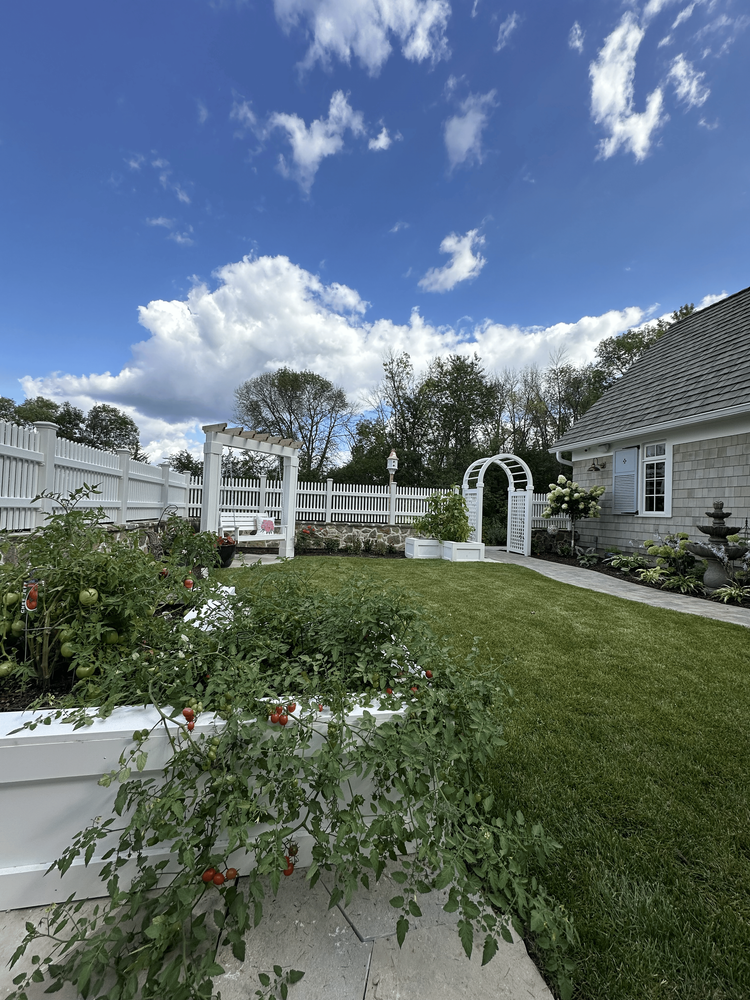 A group of rocks covered in moss in a garden surrounded by plants.