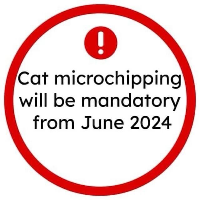 Under the new plans, all keepers must ensure their pet is microchipped before they reach the age of 20 weeks and their contact details stored and kept up to date in a pet microchipping database. Owners found not to have microchipped their cat will have 21 days to have one implanted, or may face a fine of up to £500.