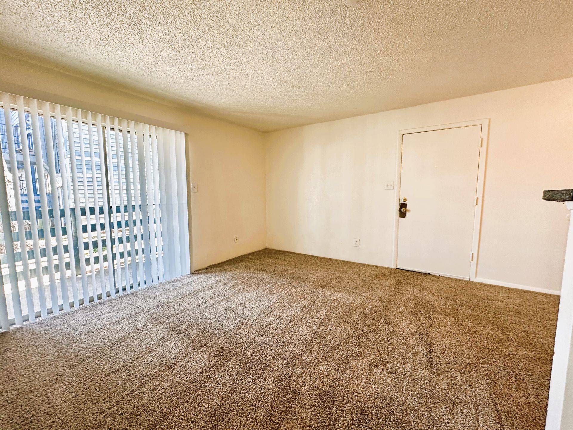 Empty apartment room with brown carpet, balcony door, and a closed white door.