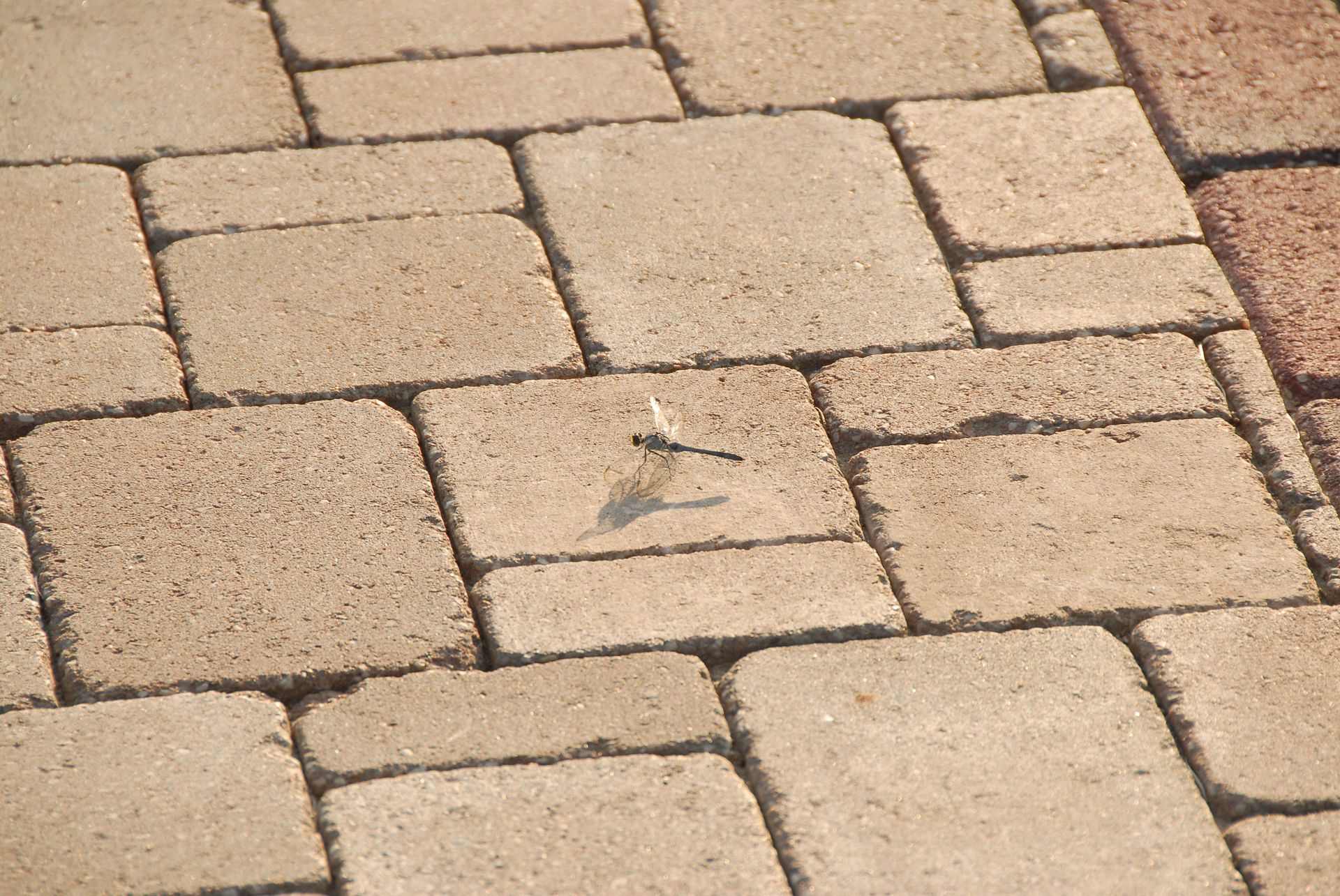 Transform Your Outdoor Patio With the Rustic Charm of Stockman Stoneworks’ Aged Cordobay Pavers.