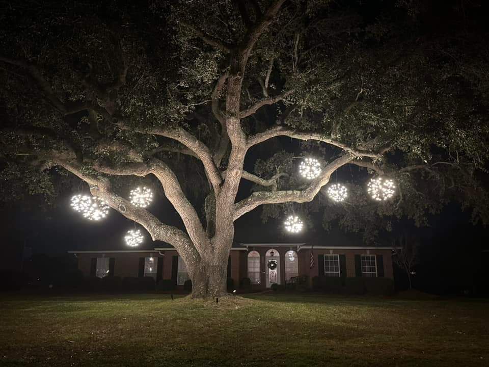 Large tree decorated with glowing white sphere lights in front of a house at night.