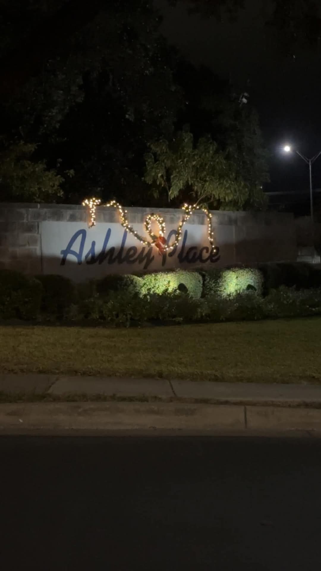 Ashley Place sign at night, lit up with string lights, set against a dark tree backdrop.