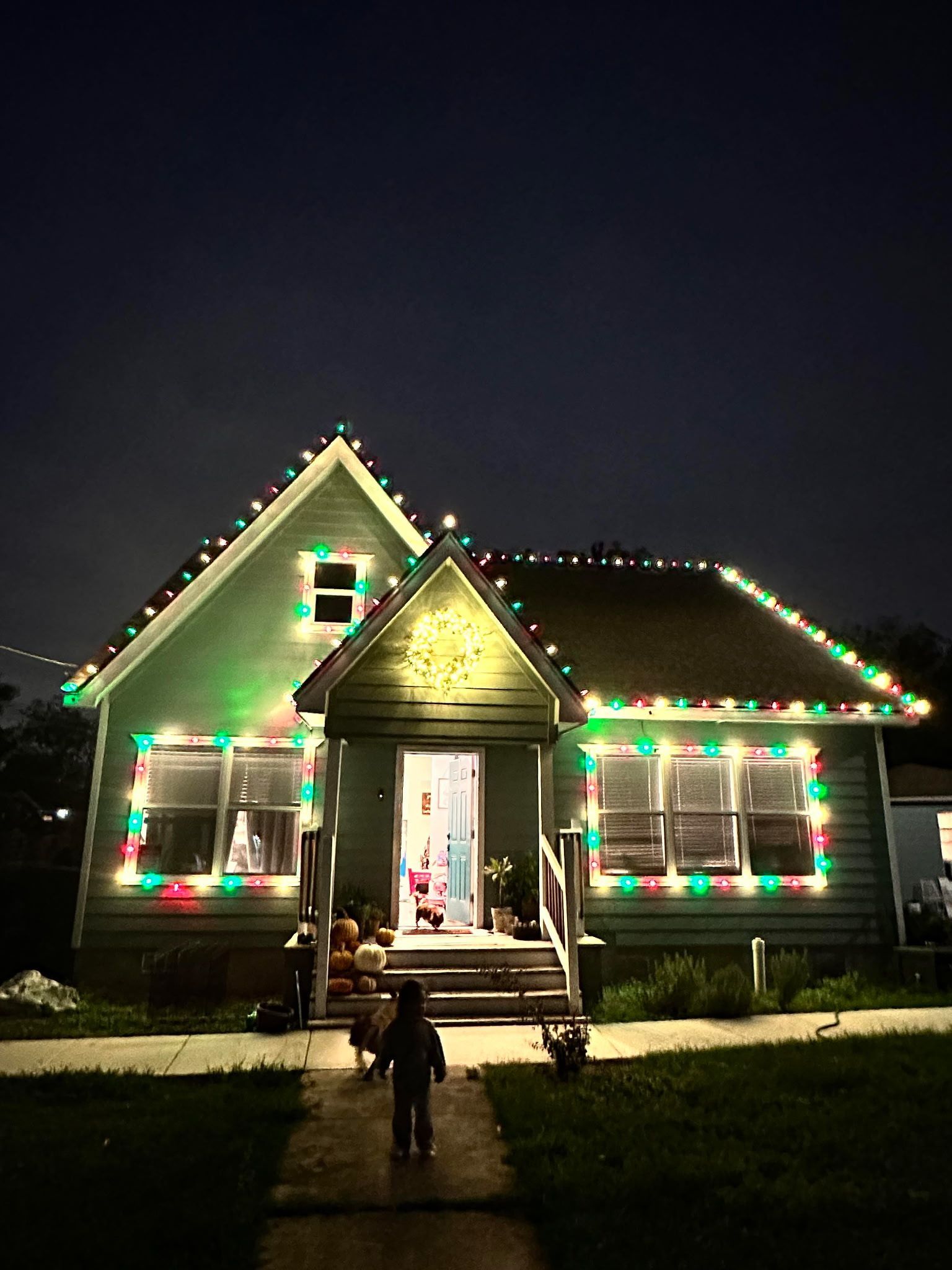 Green house decorated with red and green Christmas lights at night; child stands on the walkway.
