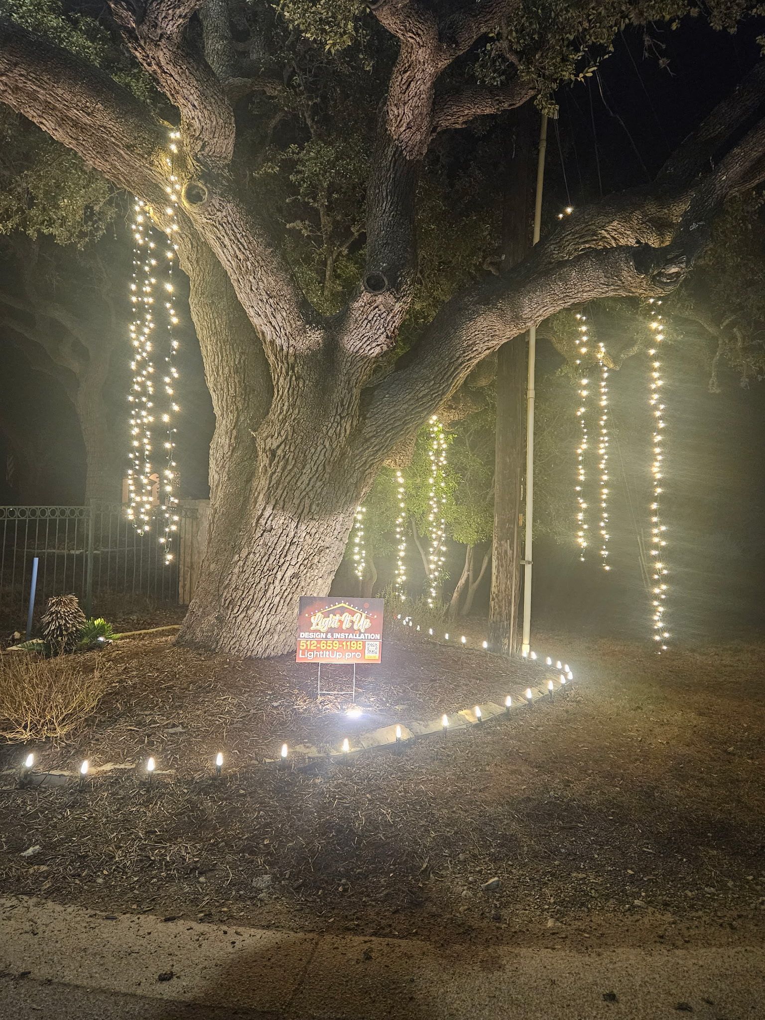 Large tree adorned with string lights; sign at base. Lights outline the ground. Nighttime.