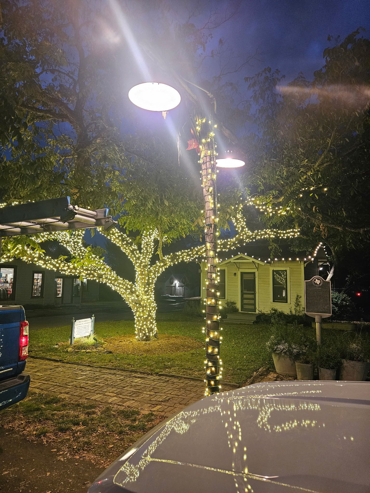 Trees and buildings illuminated with festive white lights at night.