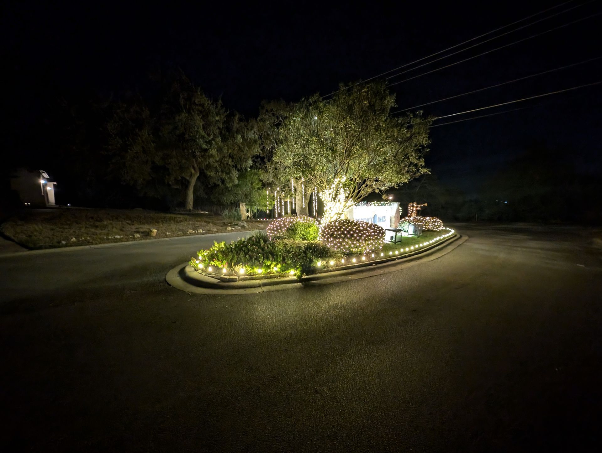 Night view of a decorated roundabout with lit plants, trees, and a decorative structure, under a dark sky.