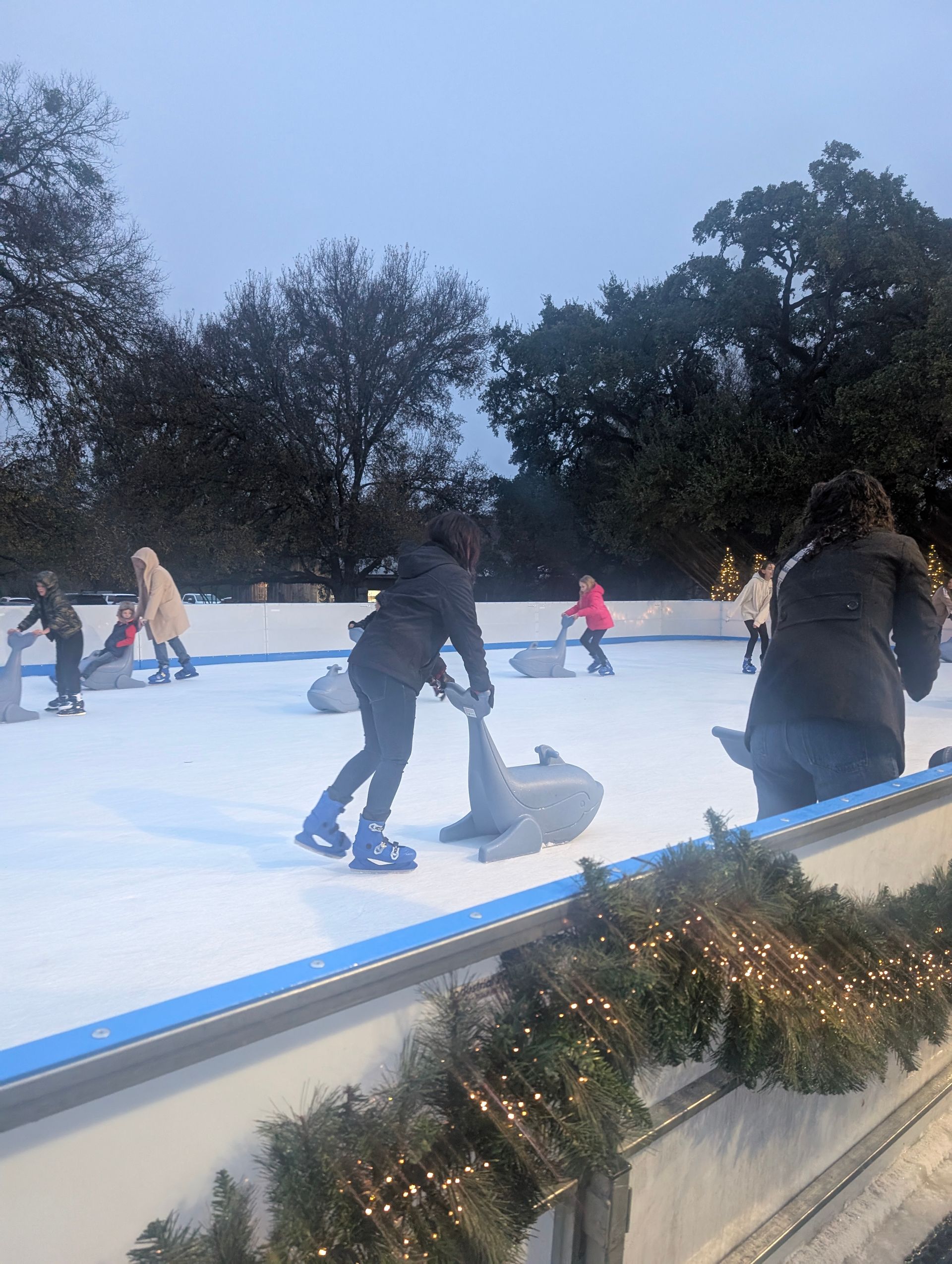 People ice skate on an outdoor rink, using seal-shaped skating aids.