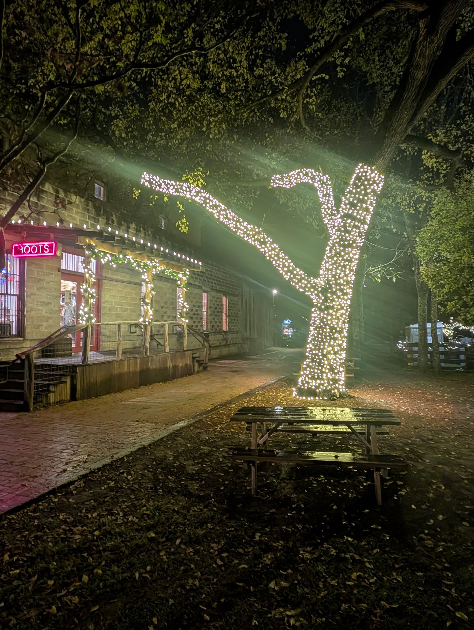 A building and tree illuminated by fairy lights at night; picnic tables in front.