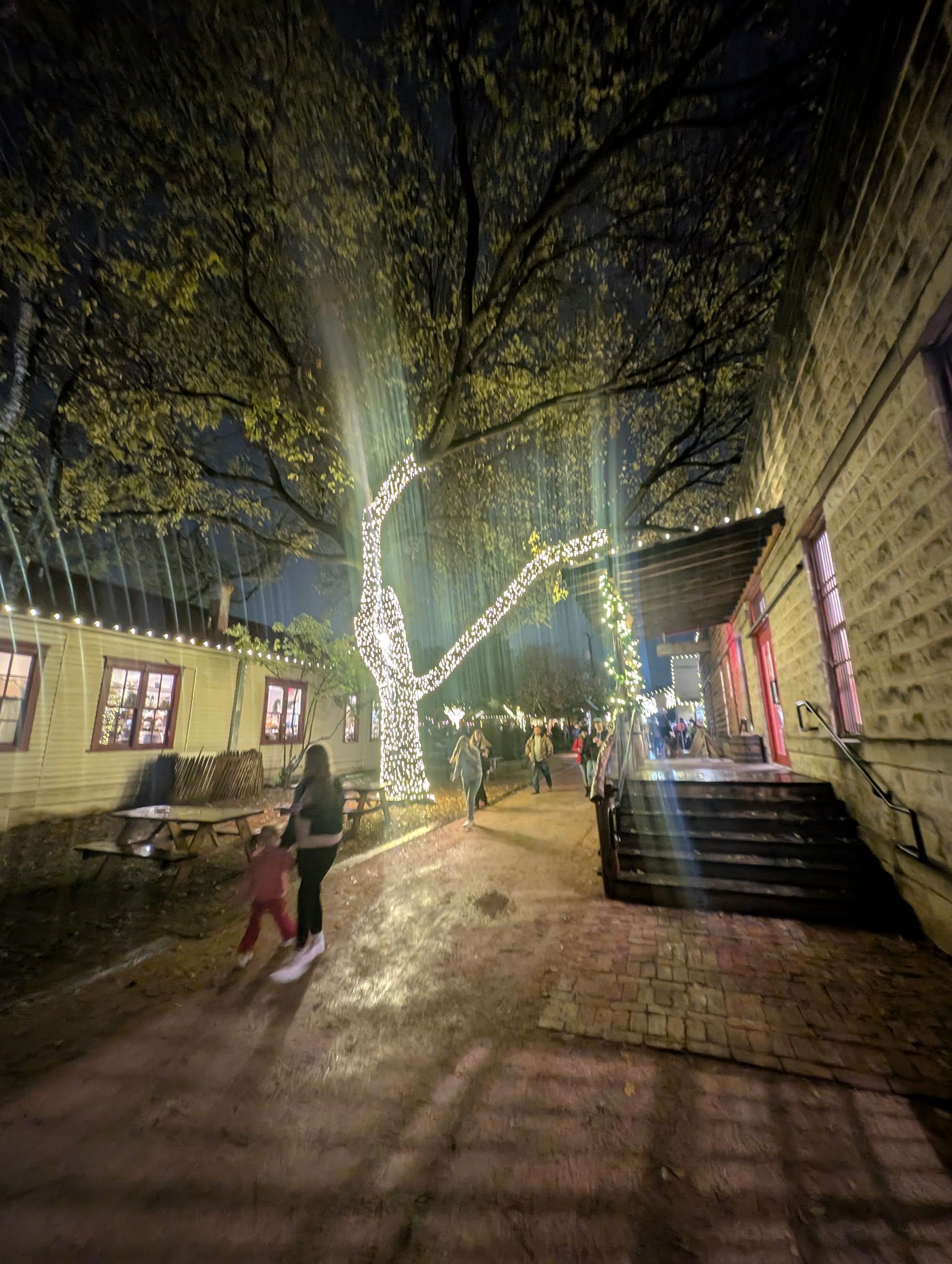 Night scene with a tree lit with white lights, people walking, and buildings with festive lights.