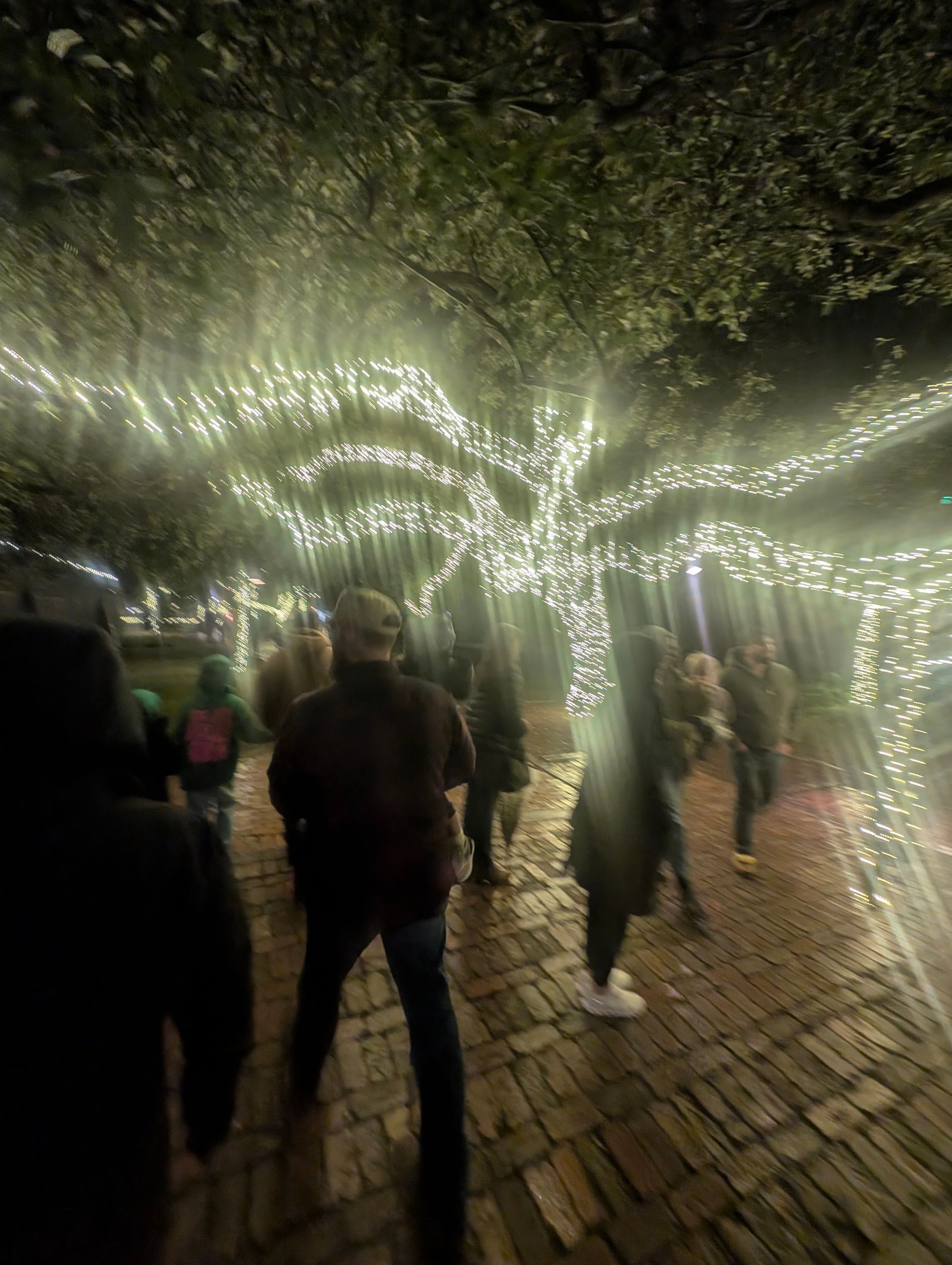 People in a park at night, trees decorated with bright white lights.
