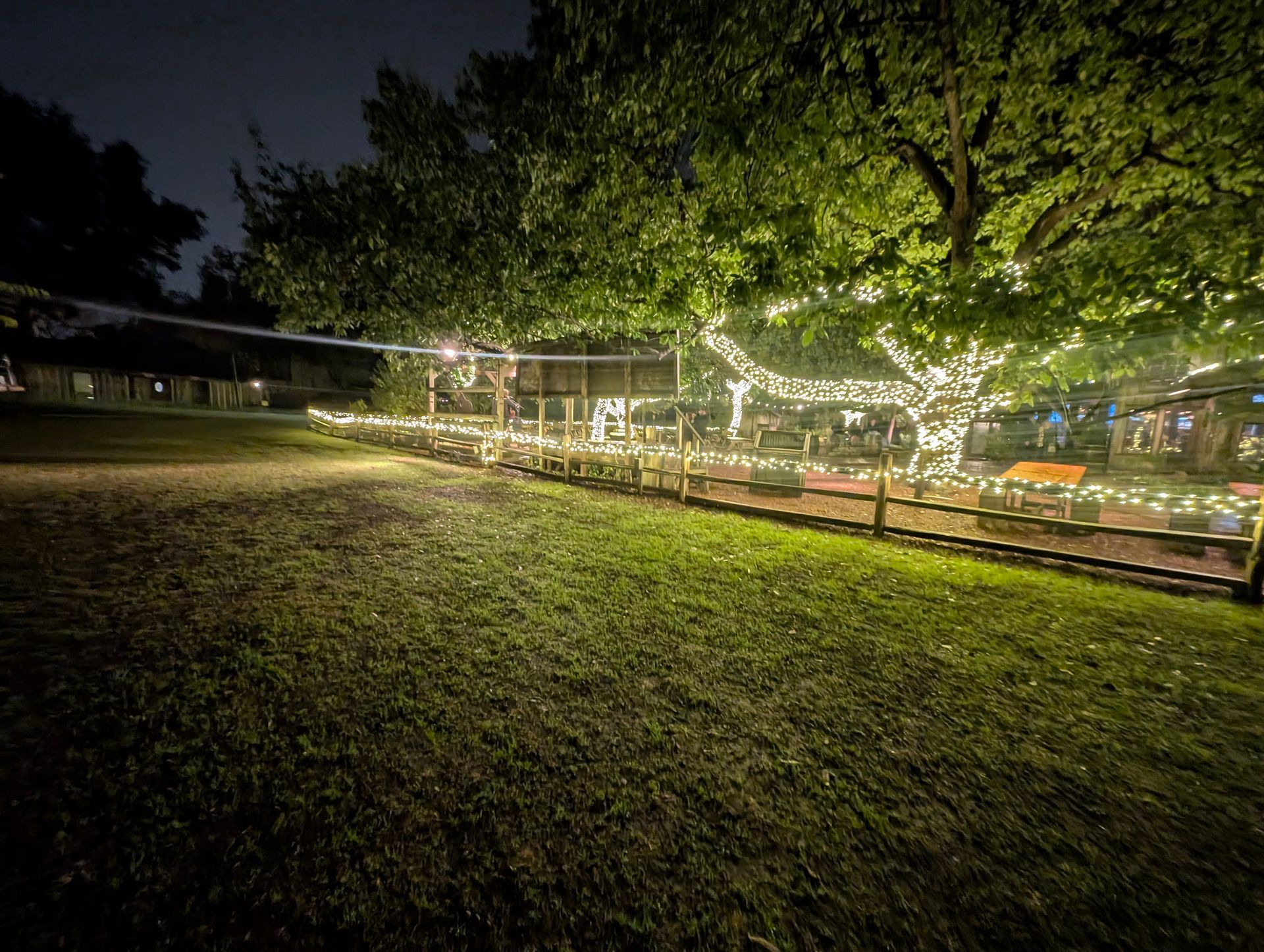 Lawn with a tree decorated in string lights. A fence borders the lighted area. Nighttime.