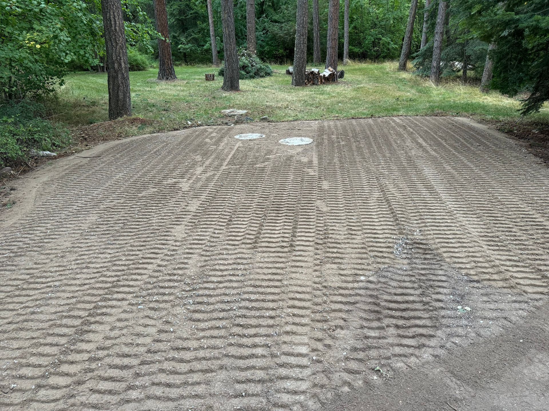 A dirt road in the middle of a forest with trees in the background.