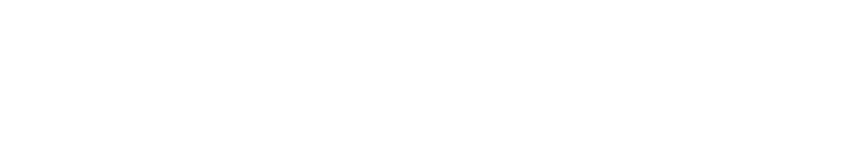 White background | Balkan Auto Care