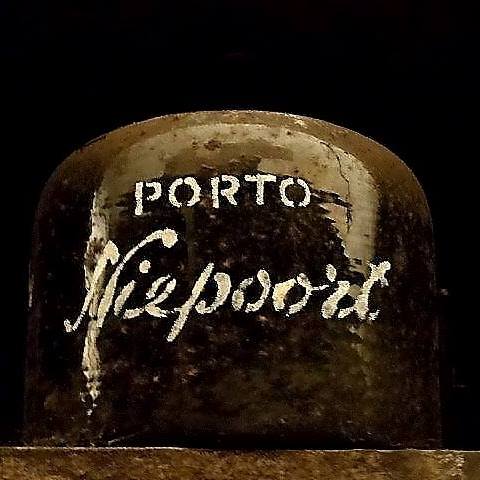 niepoort vindima 2022 nápoles