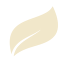 Beige leaf with a white central vein. Beige leaf with a white central vein.
