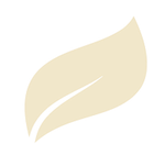 Pale yellow leaf shape, with a curved vein running through the middle. Pale yellow leaf shape, with a curved vein running through the middle.