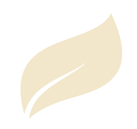 Pale yellow leaf shape, with a curved vein running through the middle.