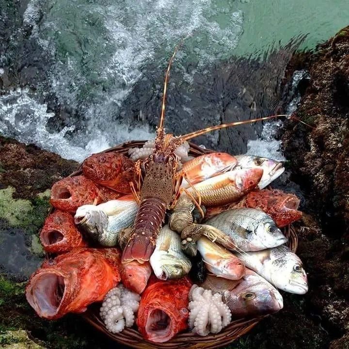 mix di pesce crudo su sfondo di mare