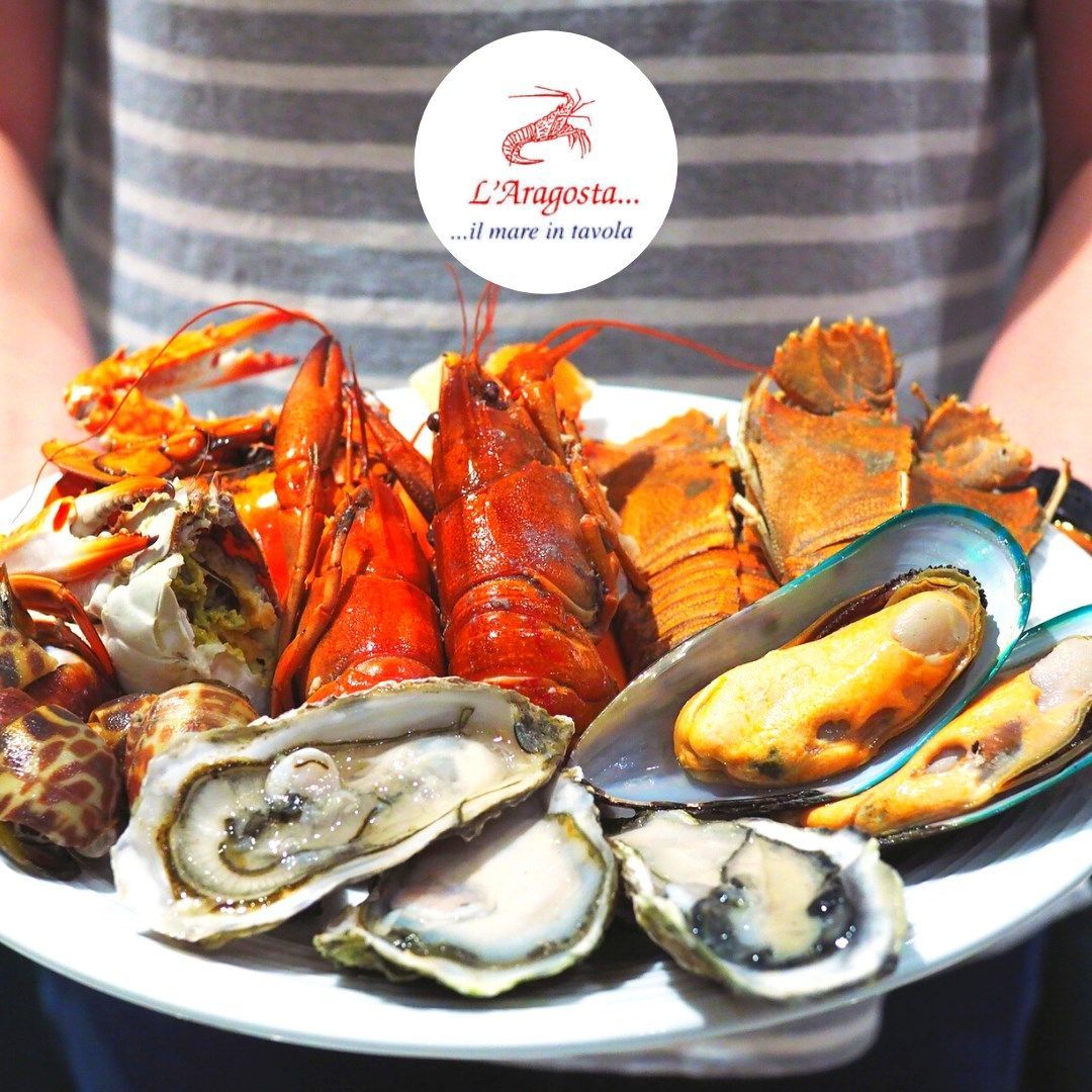 ostriche sotto ghiaccio