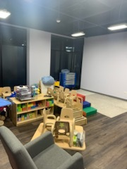 A Room with A Lot of Furniture and Toys - Chicago, IL - McMaster Painting