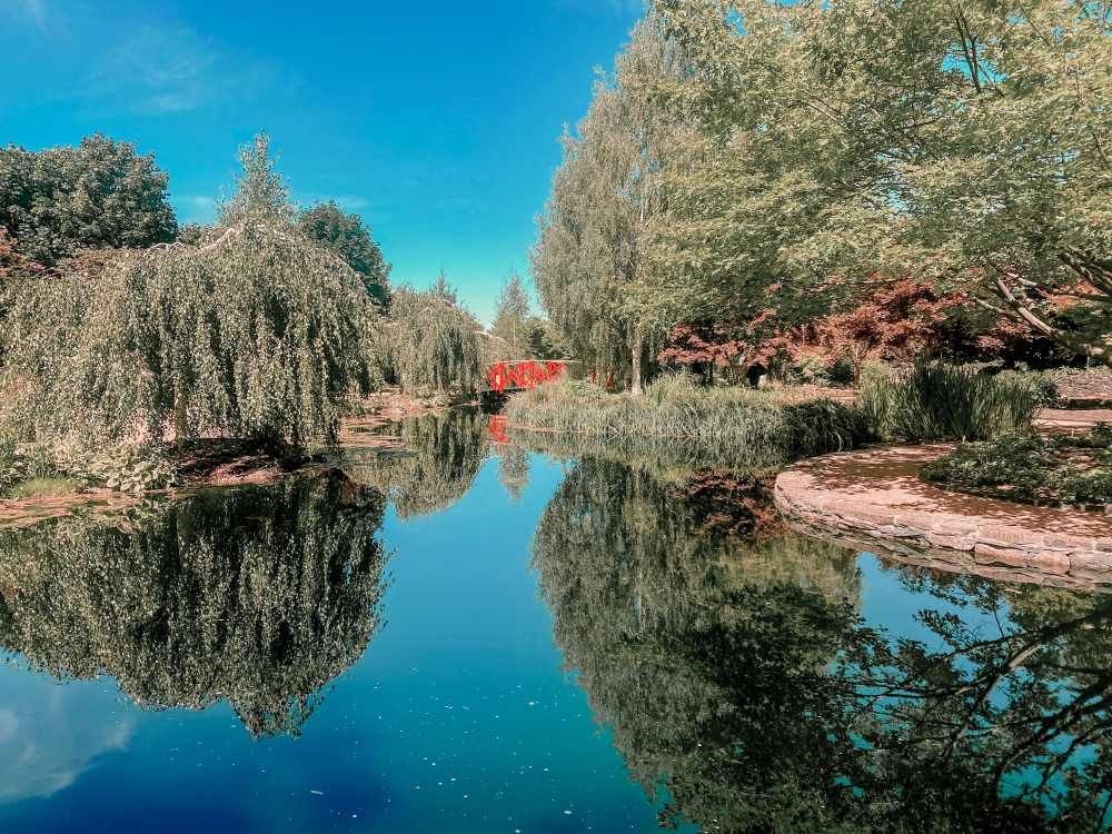 Beautiful Landscape Of Mayfield Gardens — Big Tim's Towing in Mayfield, NSW