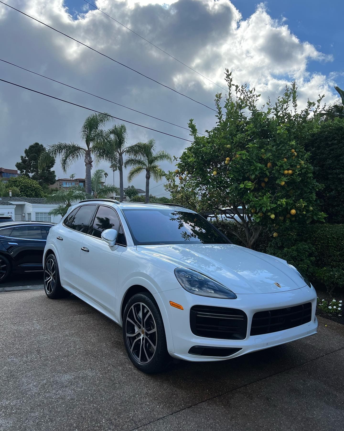 A white porsche cayenne is parked in a driveway next to a tree.