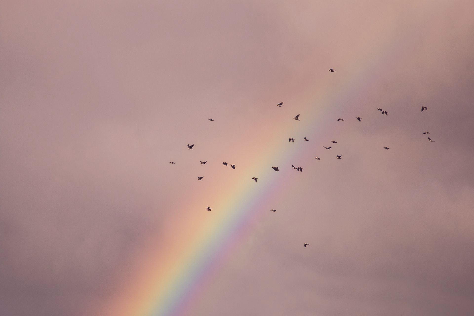 Regenbogen und fliegende Vögel, Stimmungsbild, Drei Frauen, ihre Vespas und das Sturmtief namens Leben, Kurzgeschichte