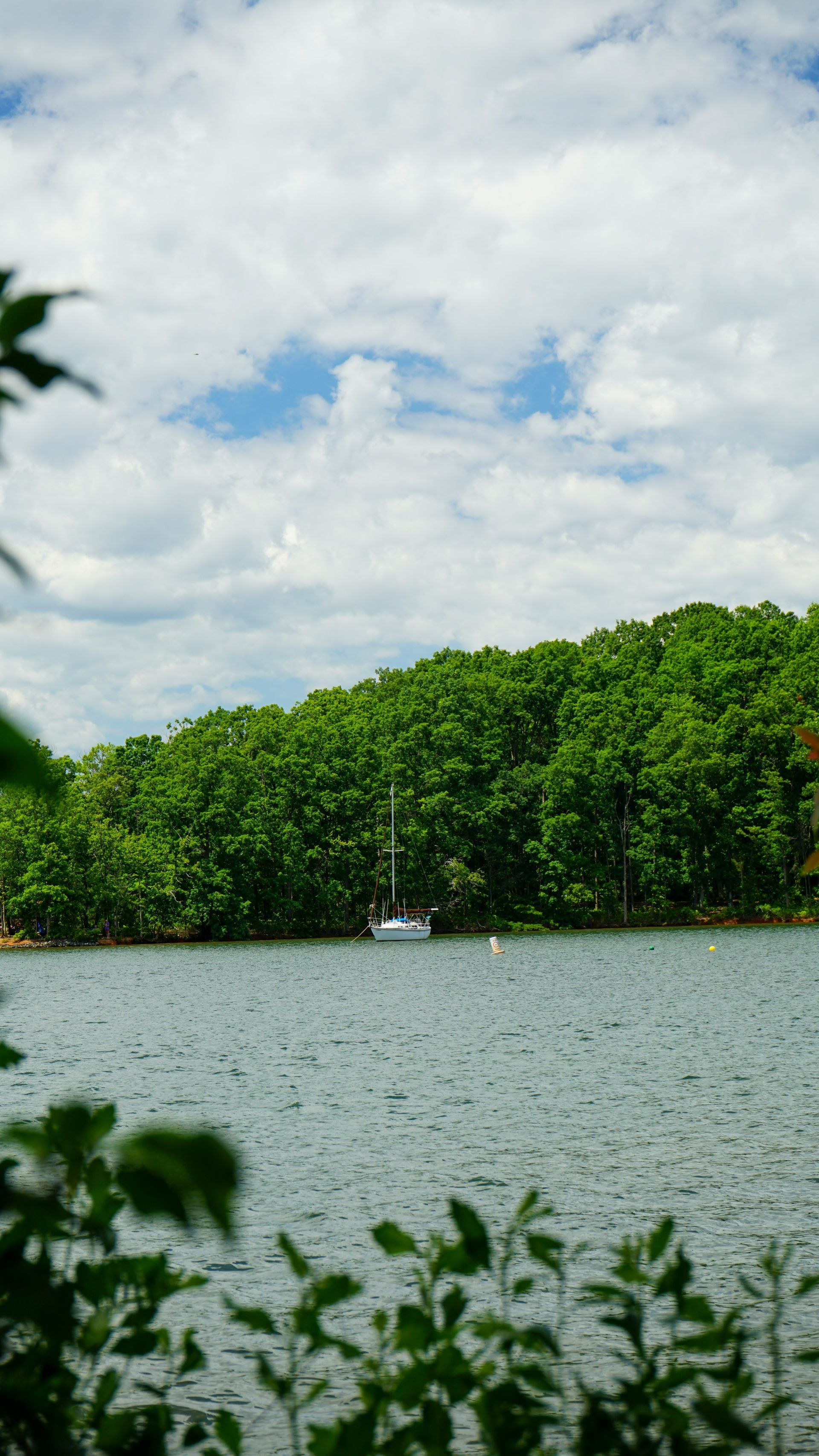 Sailboat on a lake, lush green trees on the shore under a cloudy blue sky.