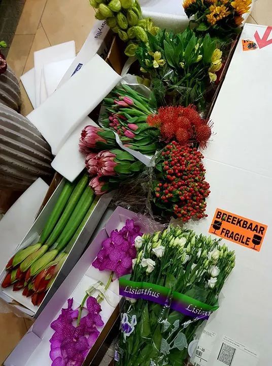 fiori freschi del negozio