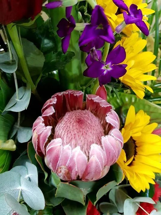 composizione di fiori freschi