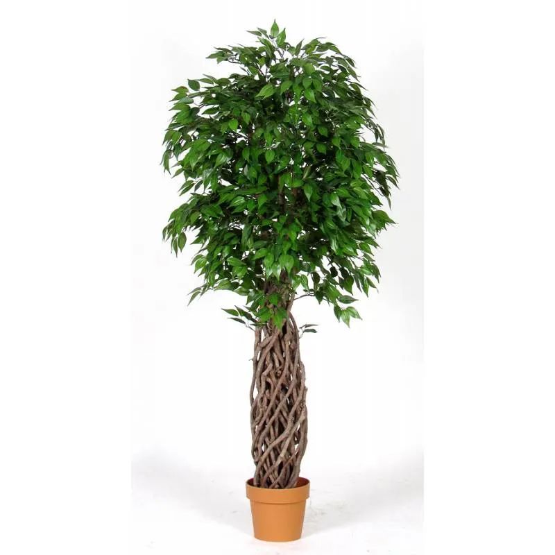 pianta artificiale decorativa