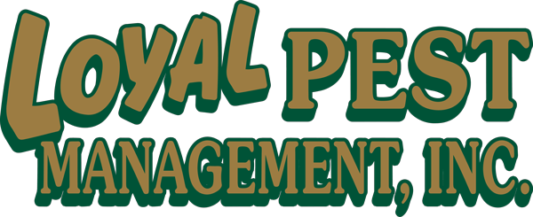 Loyal Pest Managmenet logo