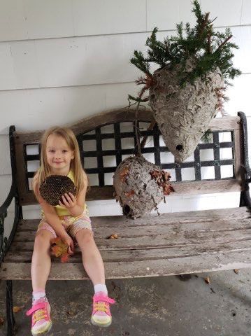 girl holding wasp nests