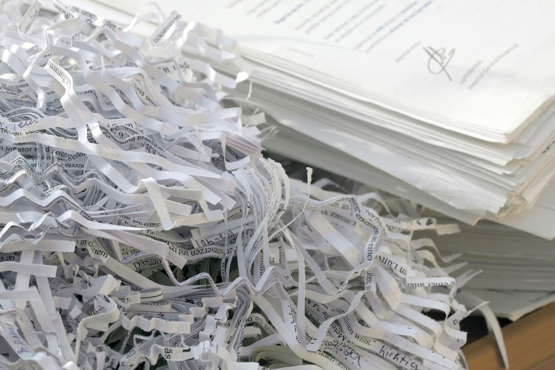 Shredded Paper Pieces Piled