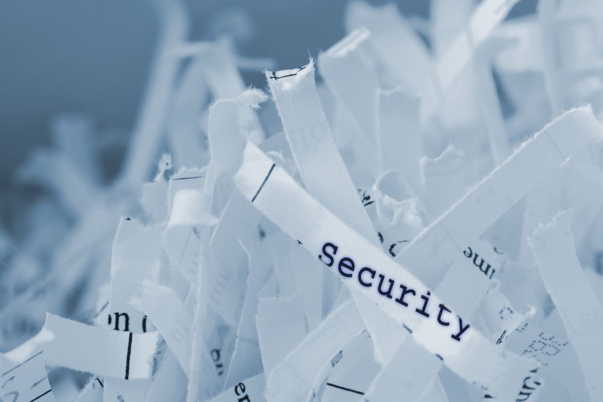 Shredded paper with the word “security” visible.