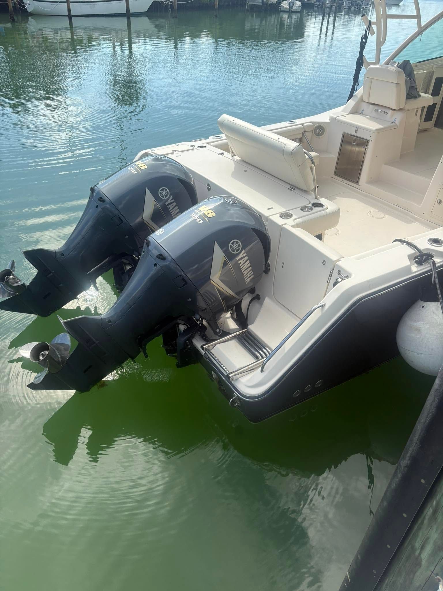 Two black outboard motors mounted on the stern of a white boat in green marina water.