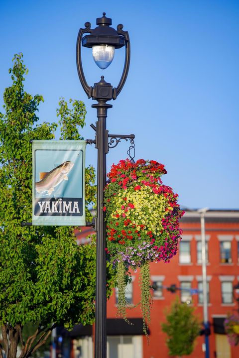 Yakima Lightpost