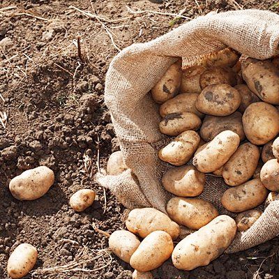 Agricultural supplies