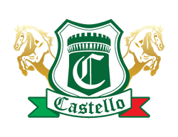 logo generico footer