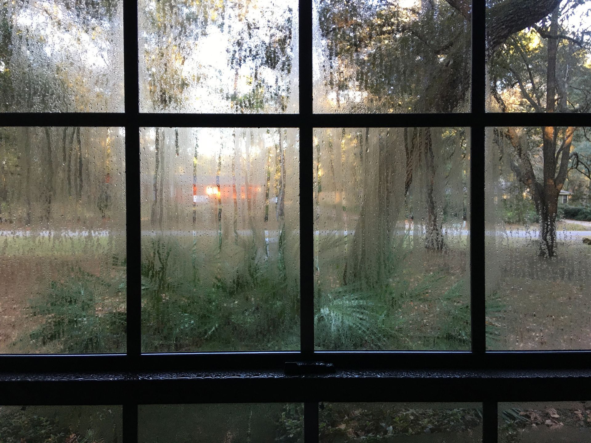 Condensation forming on a residential window, illustrating excess indoor humidity during summer.