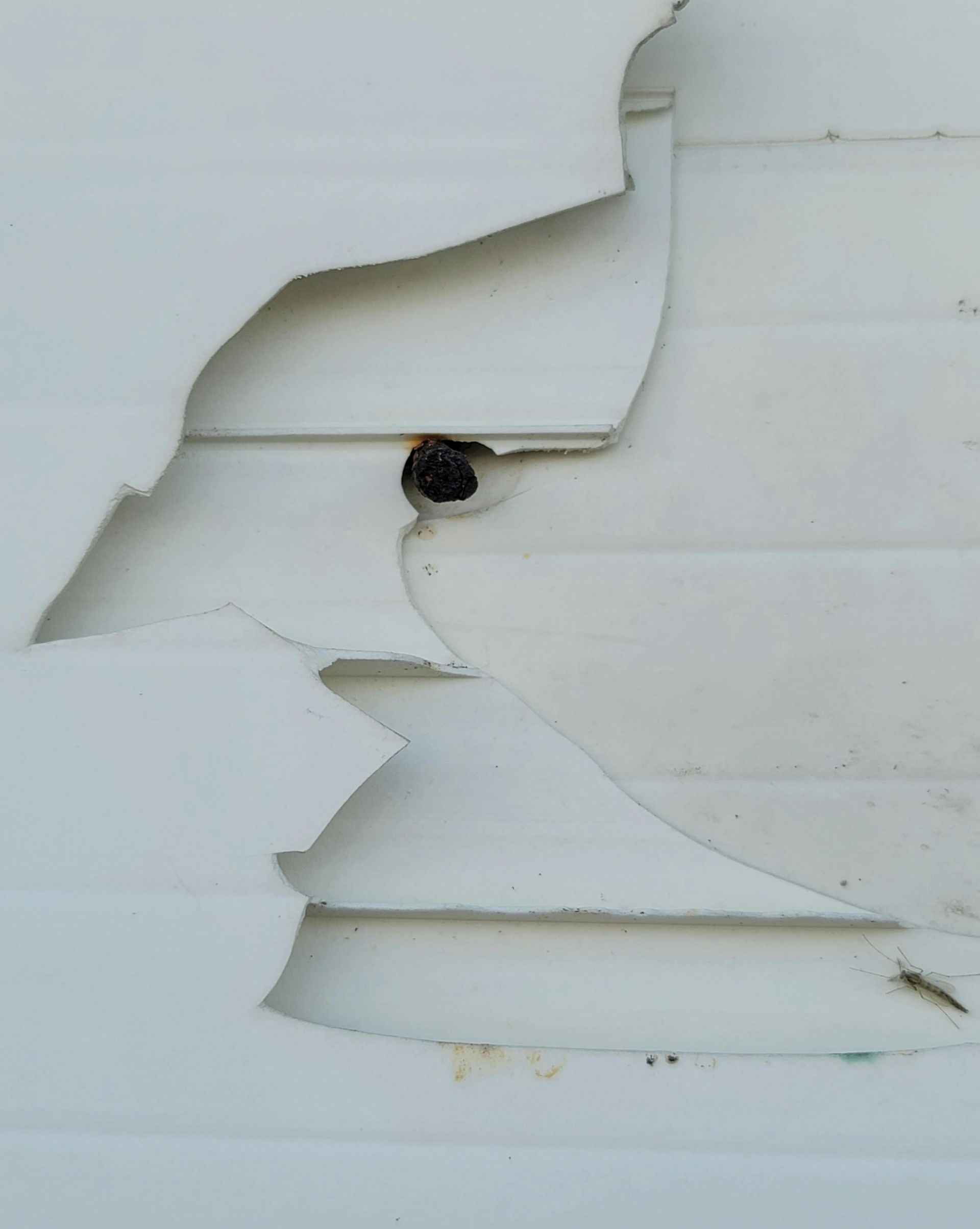 Rodent entry point in Rockwell NC home attic before wildlife exclusion by J&M Wildlife Services