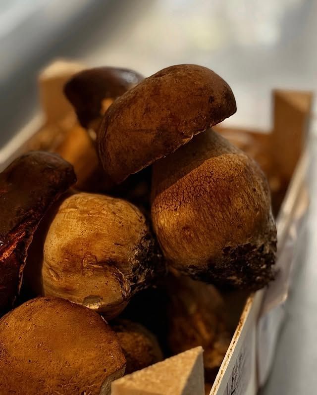 Funghi porcini disponibili presso l'enoteca di Monza Dining Club.