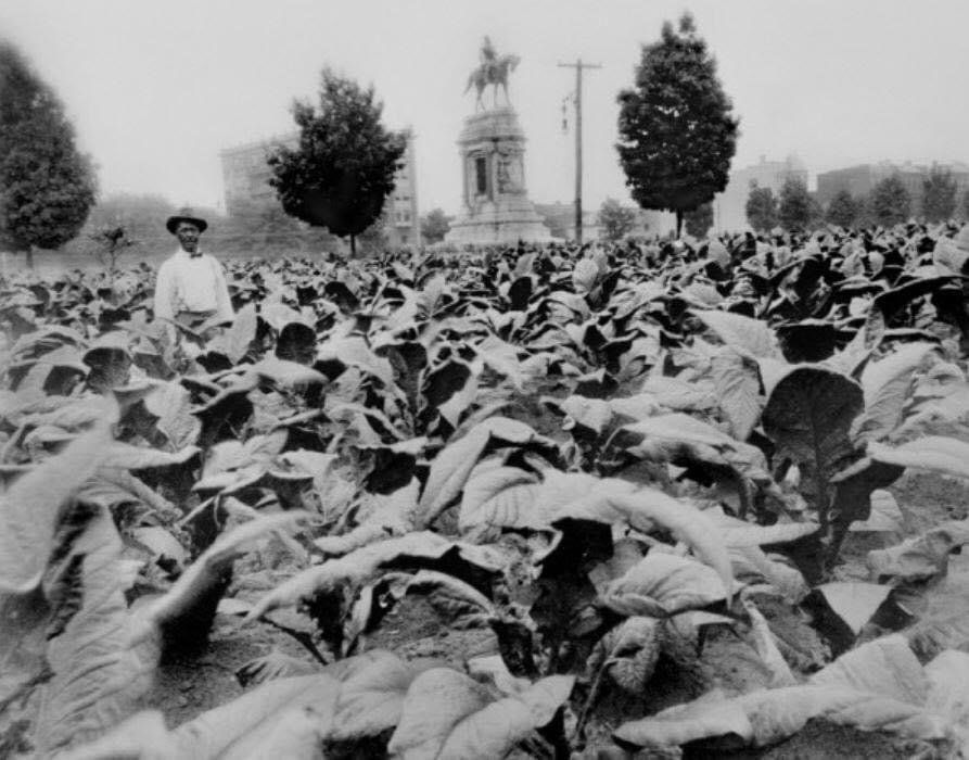 Robert E. Lee Statue - Cook Collection