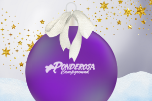 A purple christmas ornament with ponderosa campground written on it