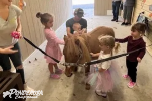 A group of children are petting a small brown horse.