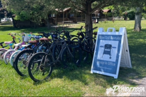 A bunch of bikes are parked in a grassy area next to a sign