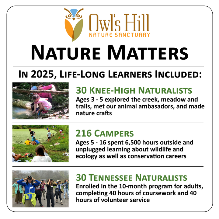 Owl's Hill Nature Sanctuary 2025 program: Kids exploring nature, campers, and adult naturalist program.