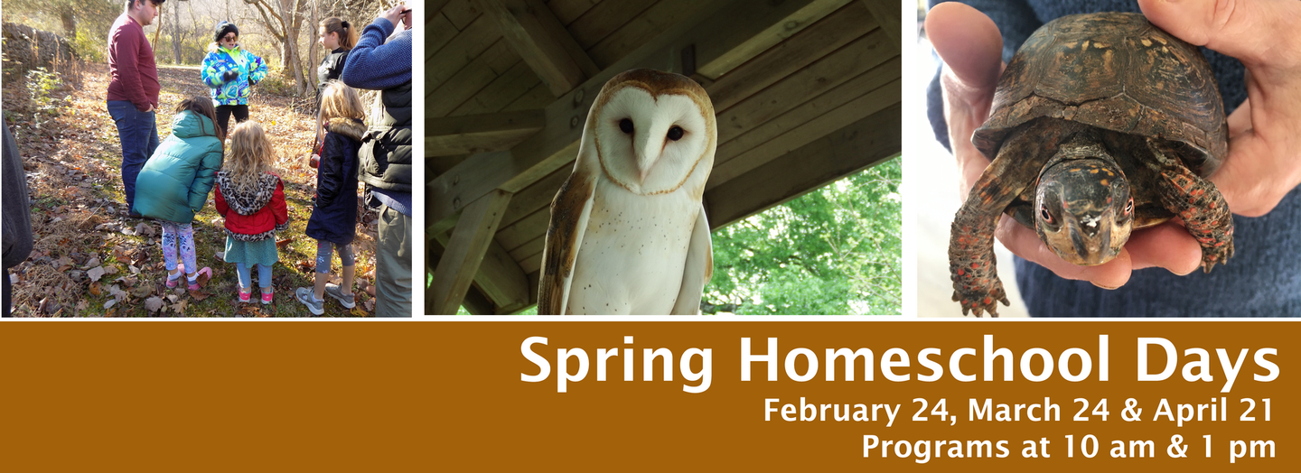 Children and adults in a forest, owl, and turtle. Homeschool dates: February 24, March 24 and April 21