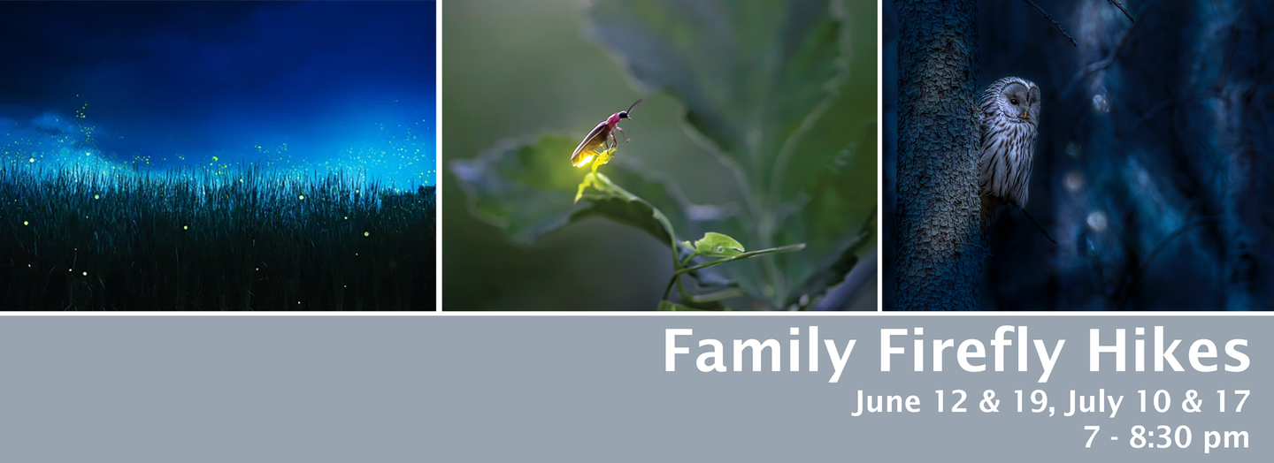 “Family Firefly Hikes” banner with three nature photos and event dates at the bottom. June 12 & 19, July 10 & 17. All hikes 7 - 8:30 pm